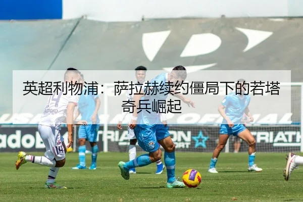 ying-chao-li-wu-pu-sa-la-he-xu-yue-jiang-ju-xia-de-ruo-ta-qi-bing-jue-qi-2-324.jpg